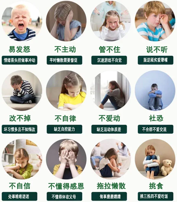 哪里有针对青少年的篮球声誉培养计划_2
